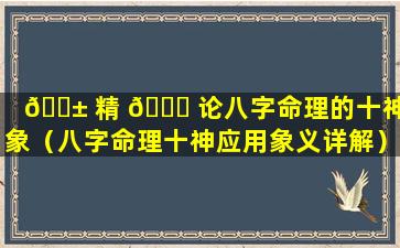 🐱 精 🍁 论八字命理的十神意象（八字命理十神应用象义详解）